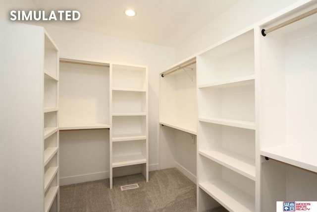 walk in closet featuring carpet floors