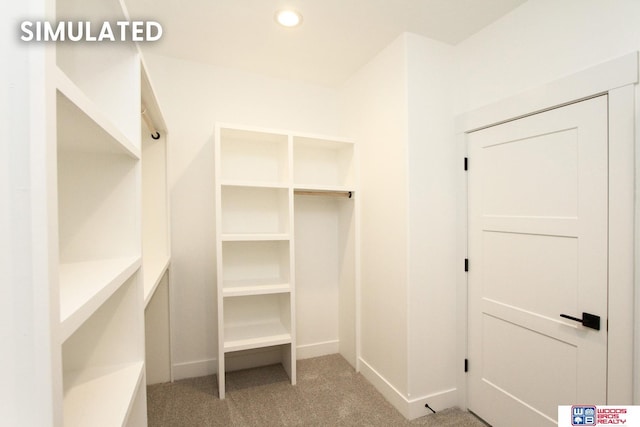 spacious closet featuring carpet