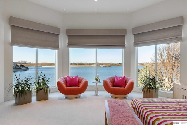 sunroom with a water view and a wealth of natural light