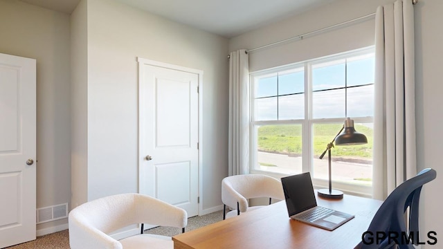 office with carpet floors