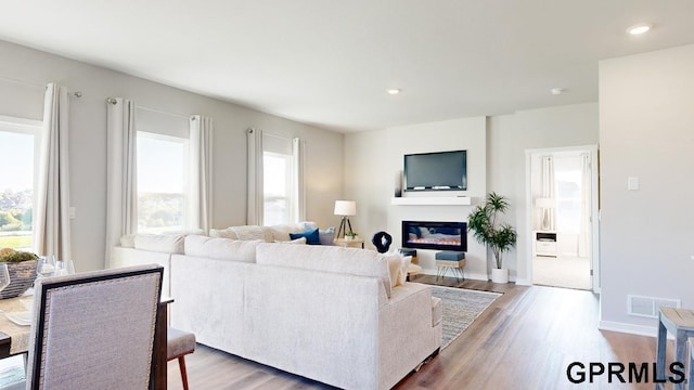 living room featuring hardwood / wood-style floors