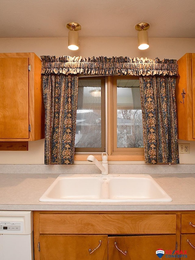 kitchen with dishwasher and sink