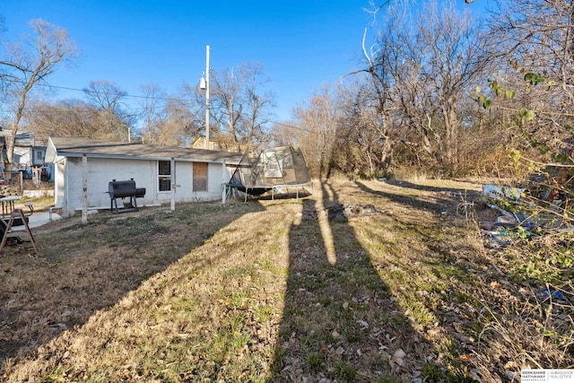 view of yard with a trampoline