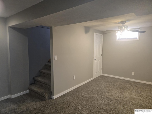 basement with dark carpet