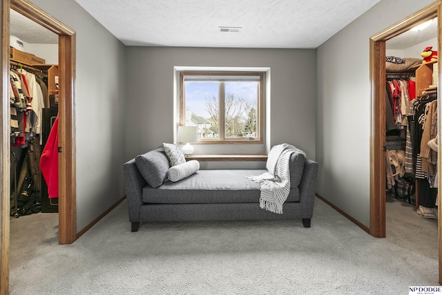 sitting room with carpet floors and a textured ceiling