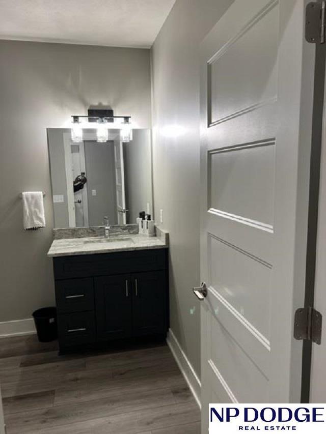 bathroom featuring wood-type flooring and vanity