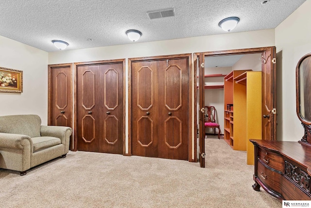 living area featuring light colored carpet and a textured ceiling