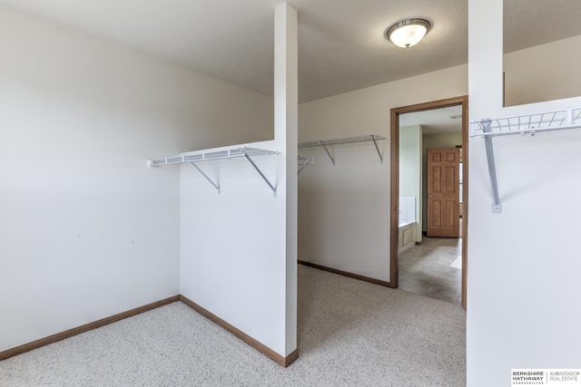 spacious closet with light carpet