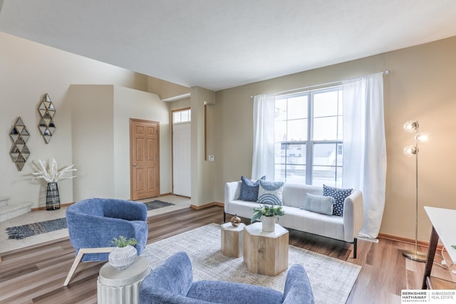 living room featuring hardwood / wood-style floors