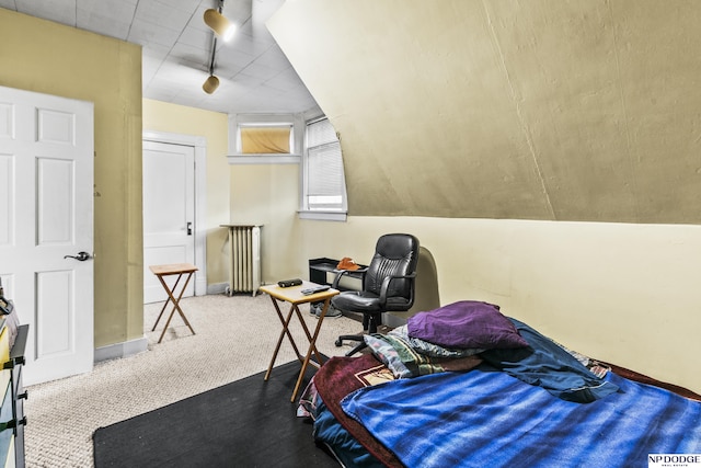 bedroom featuring carpet flooring