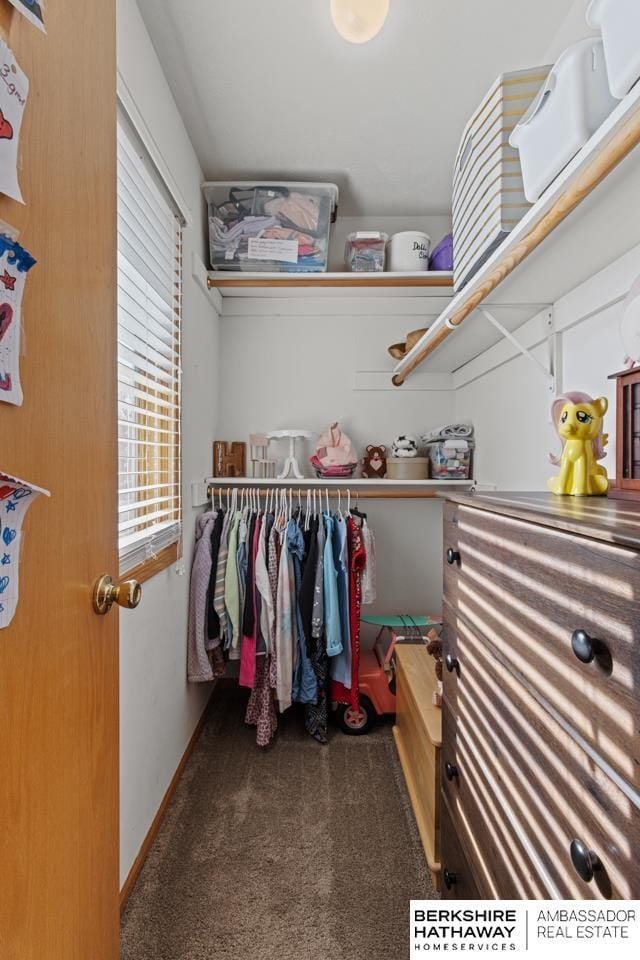 walk in closet with dark carpet