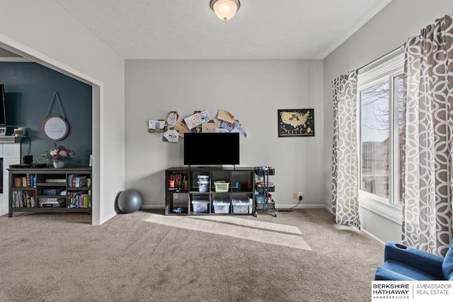 living room featuring carpet floors