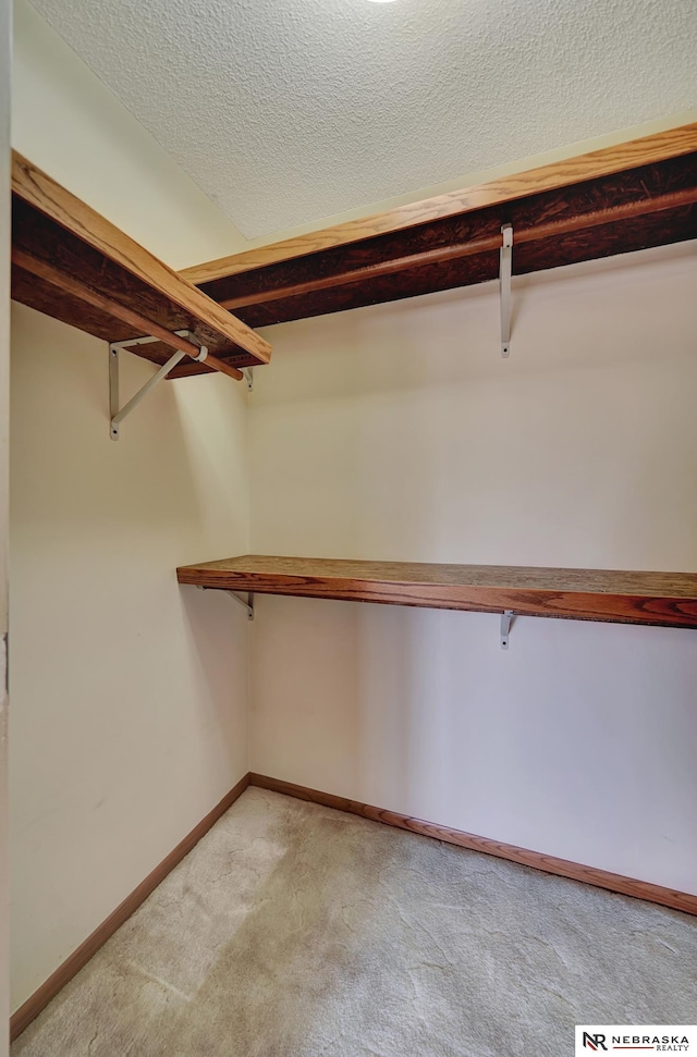 spacious closet with carpet