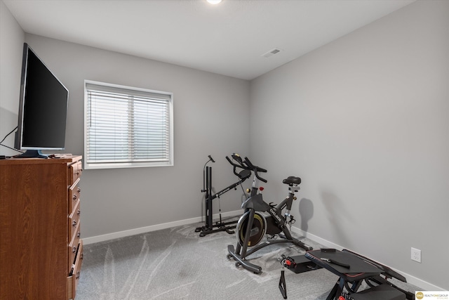 workout area with carpet