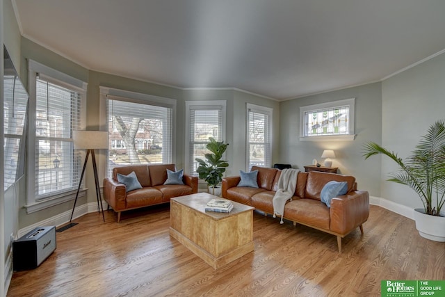 living room featuring crown molding and hardwood / wood-style floors