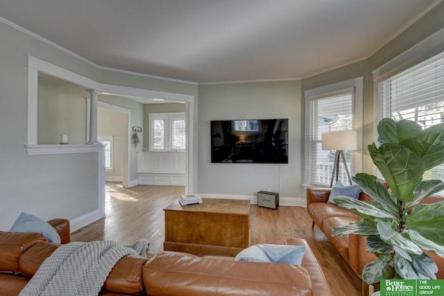 living room featuring crown molding and light hardwood / wood-style floors