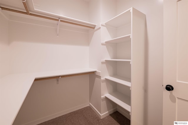 walk in closet with dark carpet