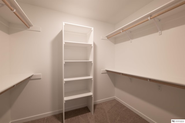 spacious closet featuring carpet floors