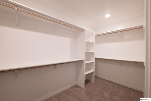 spacious closet with carpet floors