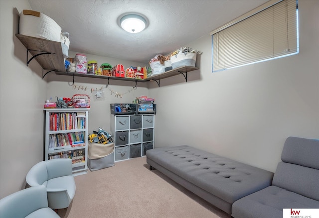 living area with carpet floors and a textured ceiling