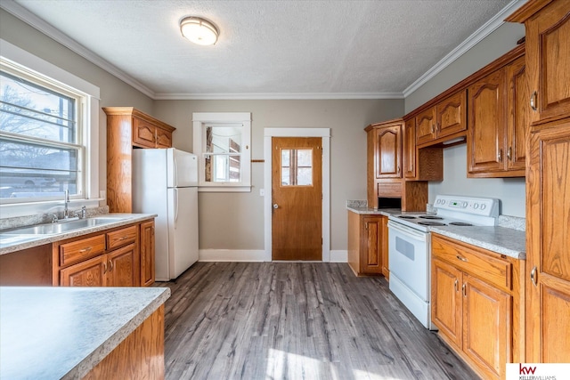 kitchen featuring sink, white appliances, hardwood / wood-style floors, ornamental molding, and a textured ceiling