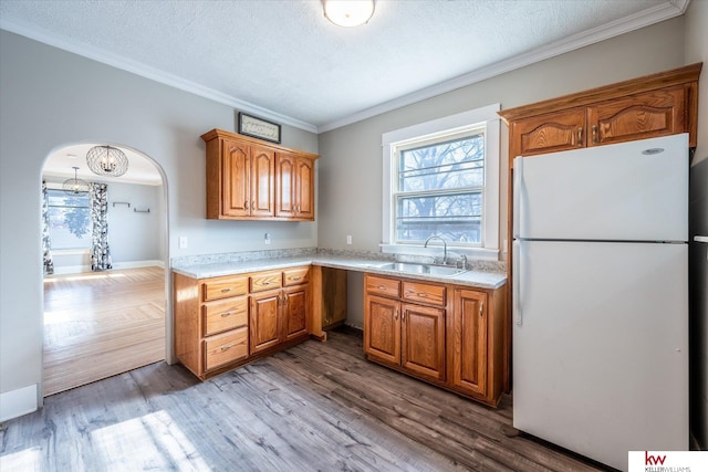 kitchen with ornamental molding, sink, white fridge, and light hardwood / wood-style flooring