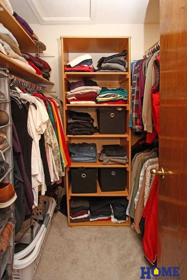 walk in closet featuring carpet floors