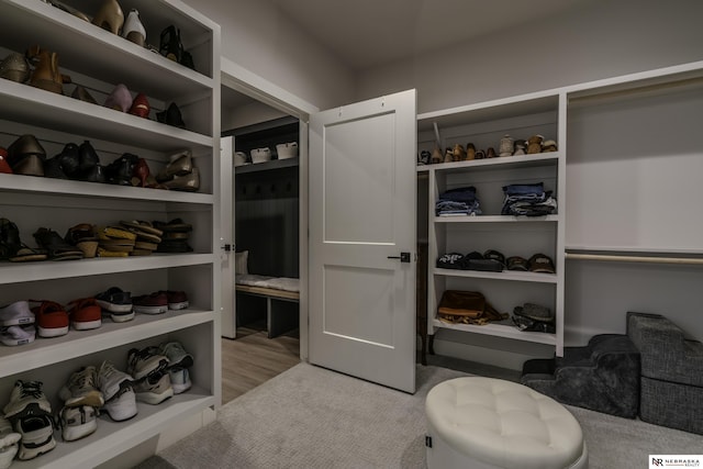 spacious closet with light wood-type flooring