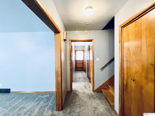 hallway with carpet floors