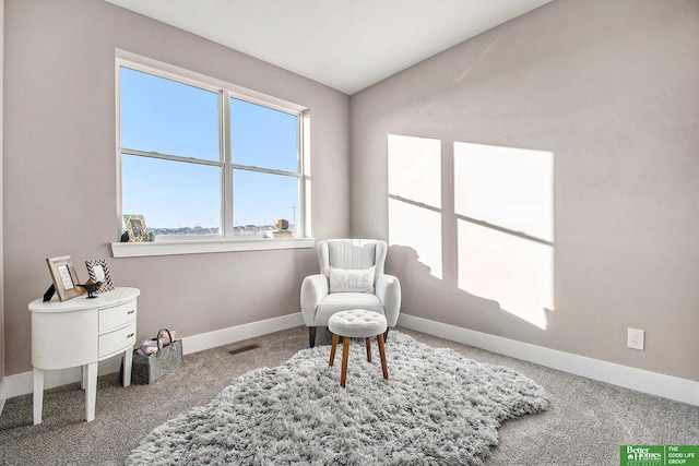 sitting room with carpet floors