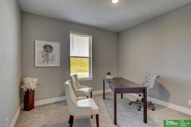 home office featuring light colored carpet