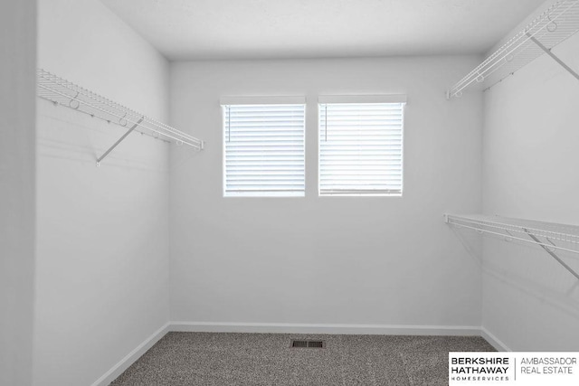 spacious closet with carpet flooring