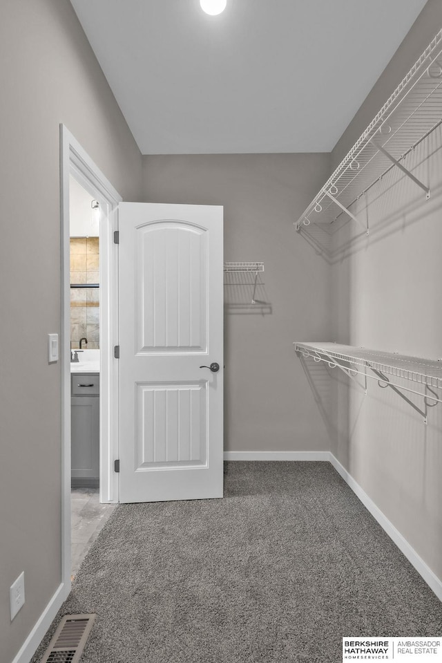 walk in closet featuring carpet floors