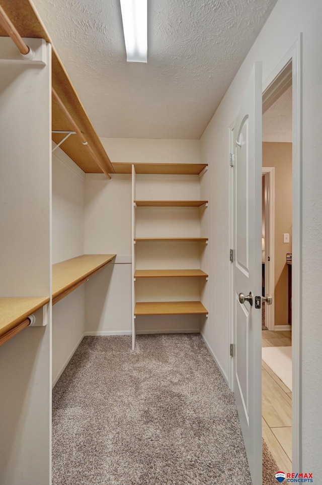 walk in closet featuring light colored carpet