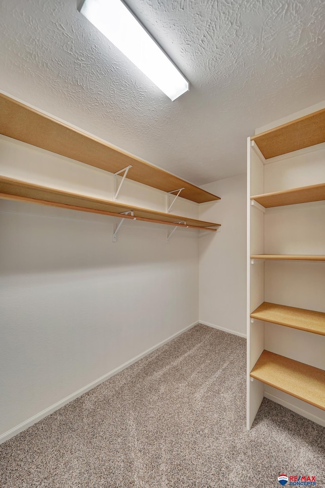 spacious closet with carpet flooring