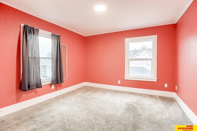 carpeted spare room featuring a wealth of natural light and ornamental molding