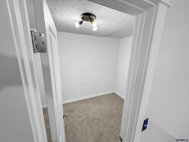 spacious closet with light carpet