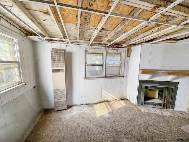 basement featuring a fireplace