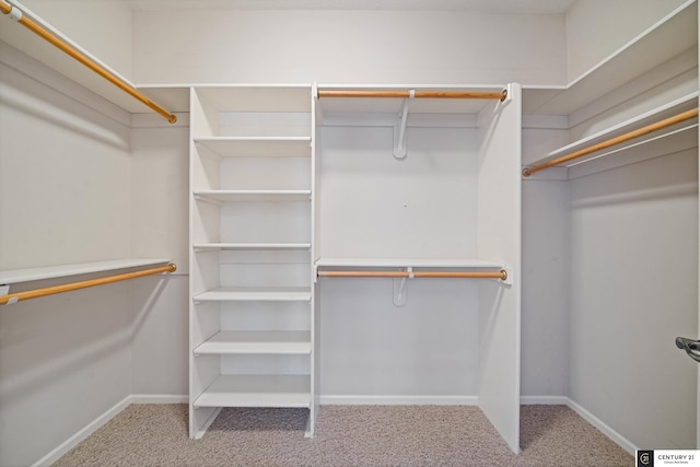 walk in closet with carpet