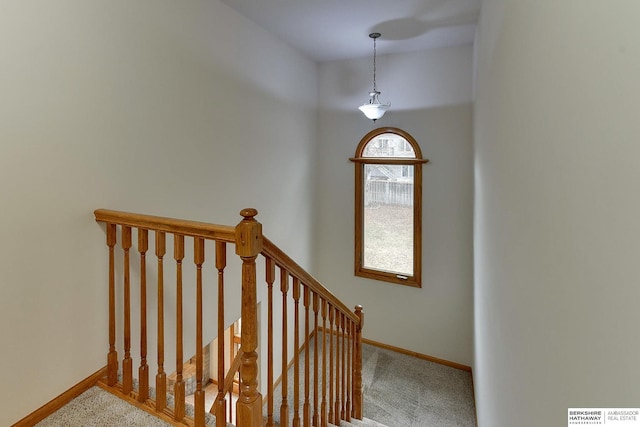 stairs featuring carpet