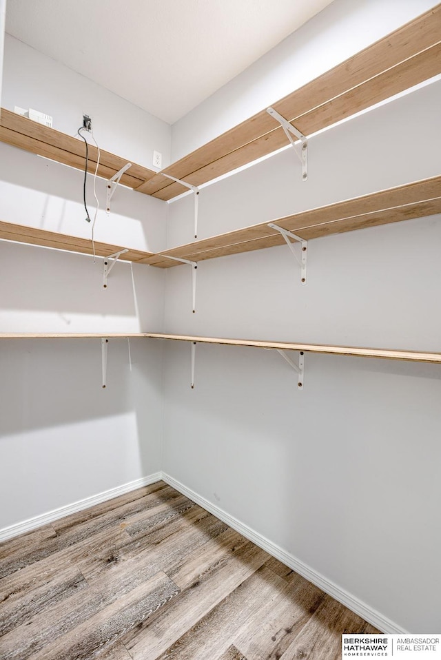 spacious closet with wood-type flooring