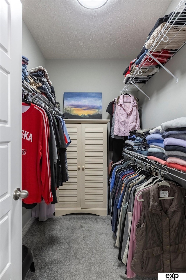 spacious closet with carpet floors