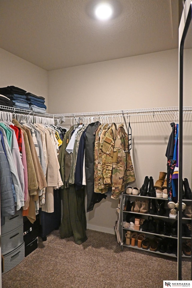 walk in closet with carpet flooring