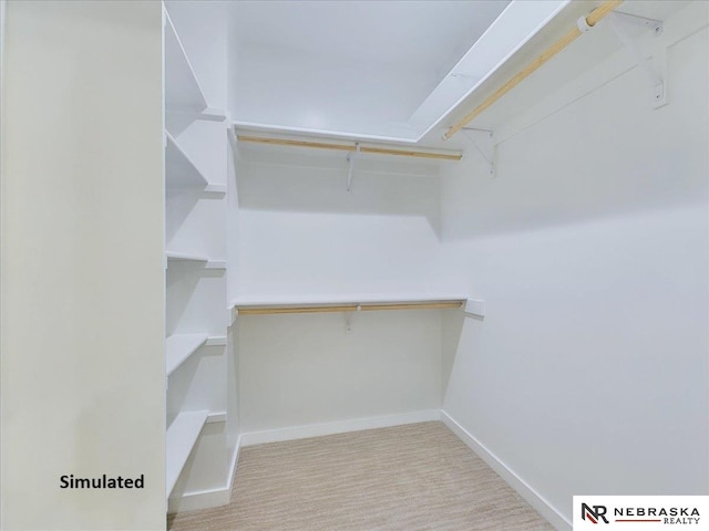 spacious closet with light colored carpet