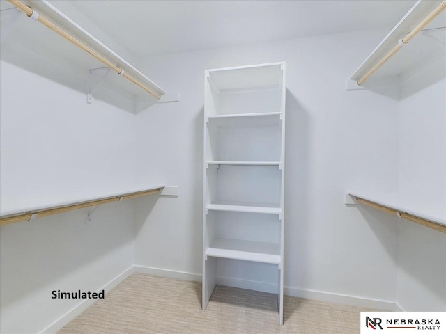 spacious closet with light colored carpet