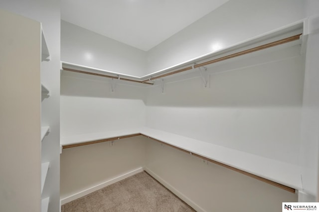 walk in closet with light carpet and built in study area