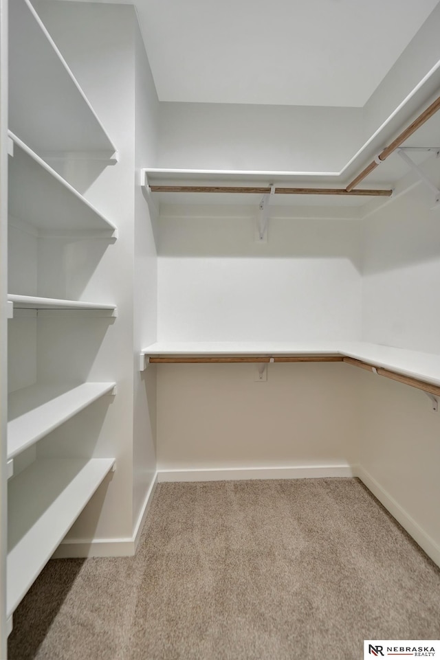 walk in closet with carpet flooring