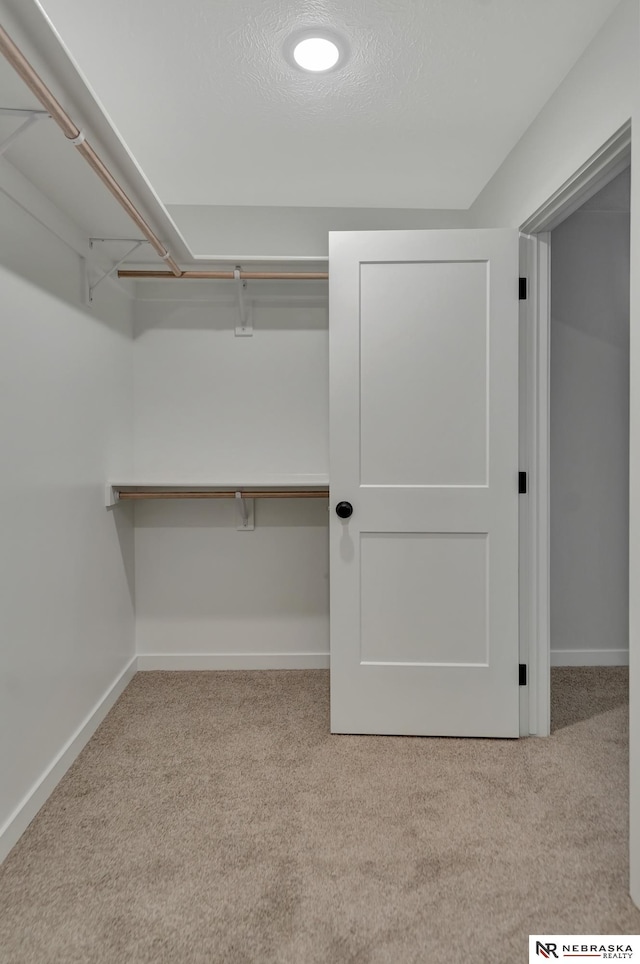 walk in closet featuring carpet flooring