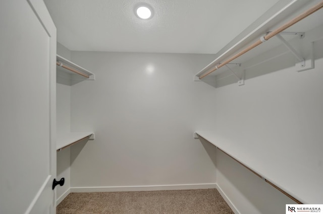 spacious closet with carpet flooring