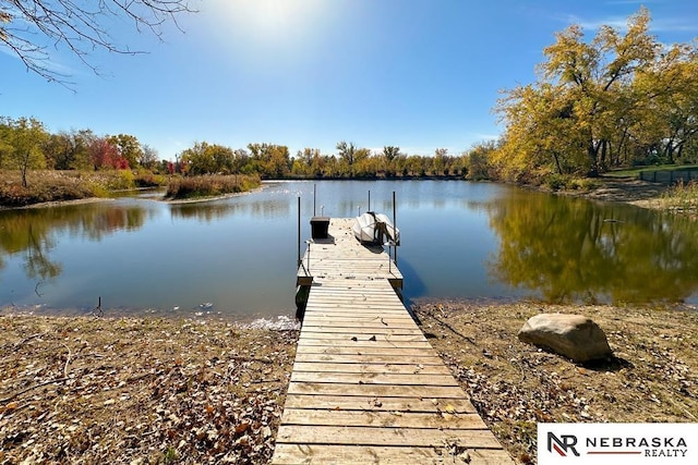 dock area featuring a water view